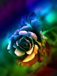 mobile wallpapers latest rose screensavers phone cell flower mobiletonia roses raindrops rainbow