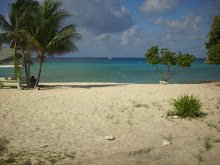 Grand Cayman Island,  2010