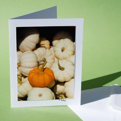 jeanne-selep-imaging jack-b-little pumpkin card