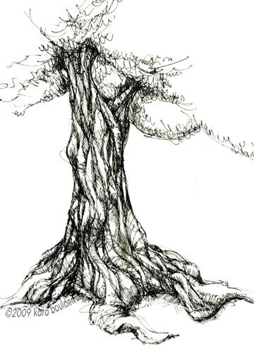 Visual Design & Illustration: Gnarled Tree 2