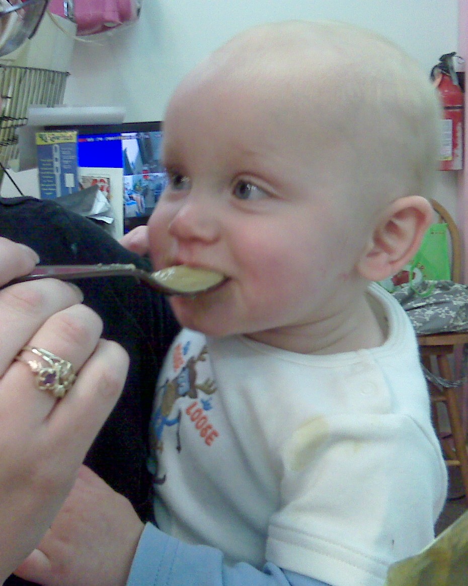 [sproutbaby+food+russell.jpg]