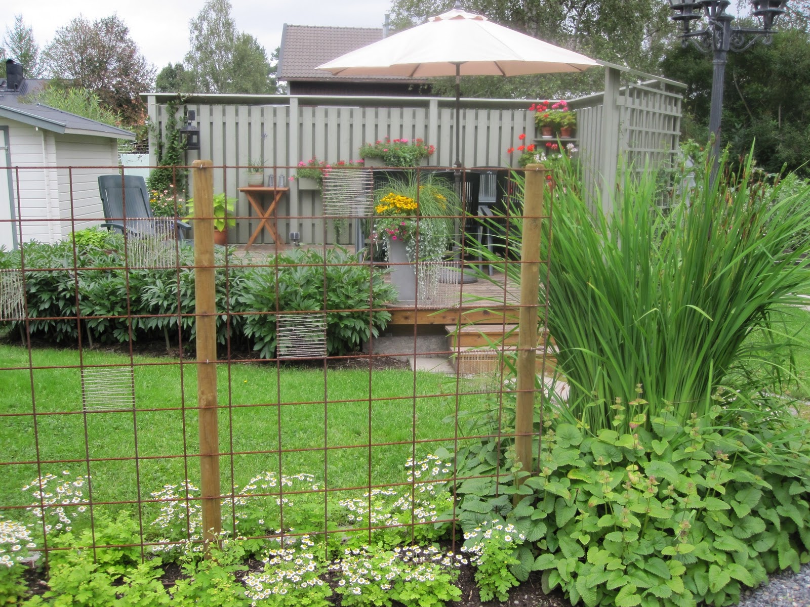 Köp dahlia 'mary evelyn' 1st hos din trädgårdsmästare på nä TrädgårdStina: Titta in i min trädgård…