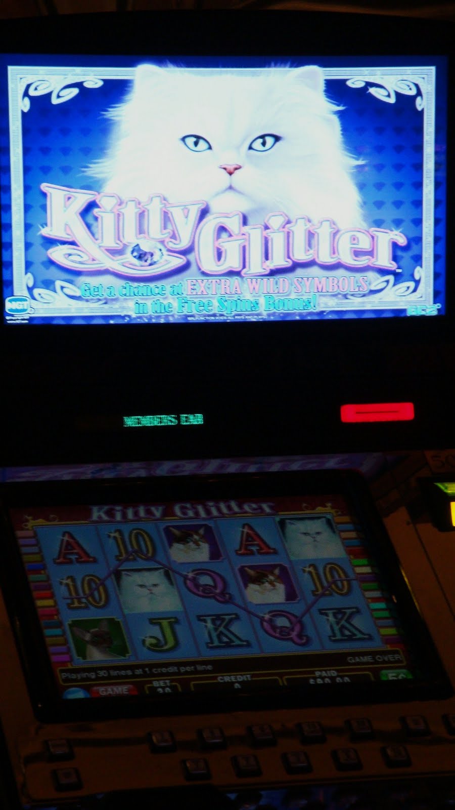 [Vegas+-+Kitty+Glitter.JPG]