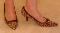 [Talbots+leopard+pumps]