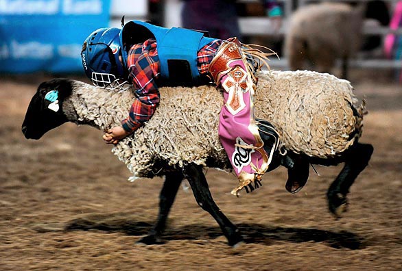 [mutton+bustin+2.jpg]