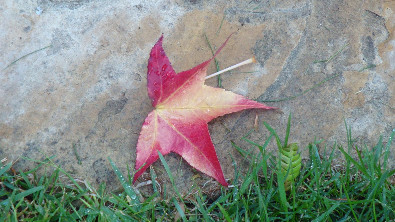 [DSC00960.JPG]