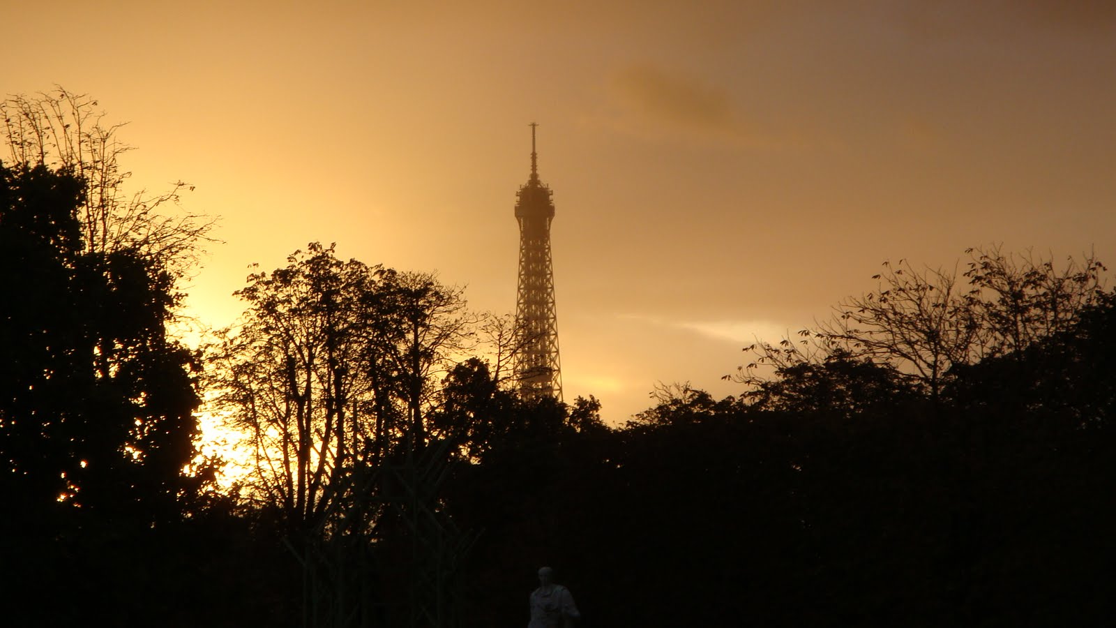 [DSC01157.JPG]