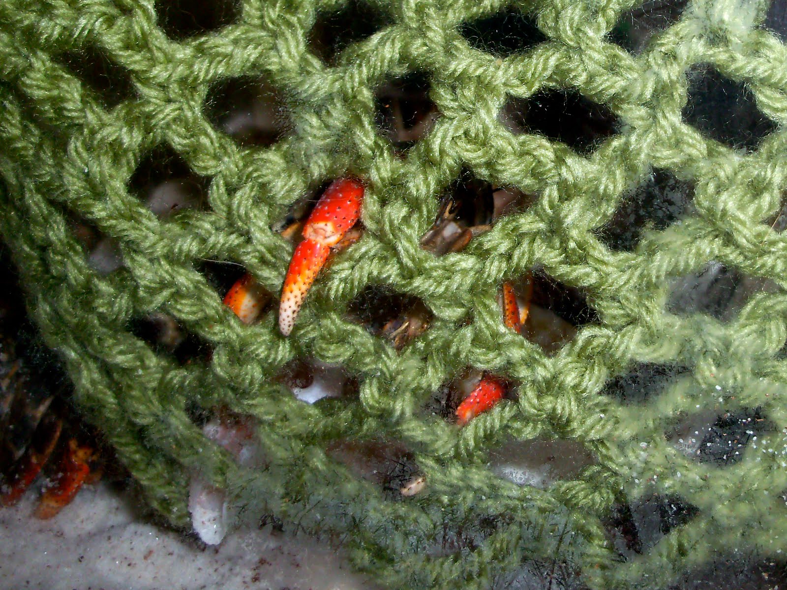 Textiles4you Hermit Crab Net