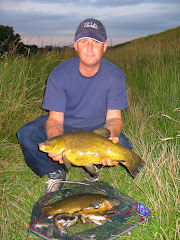 Tench from the Vernats drain in Surfleet