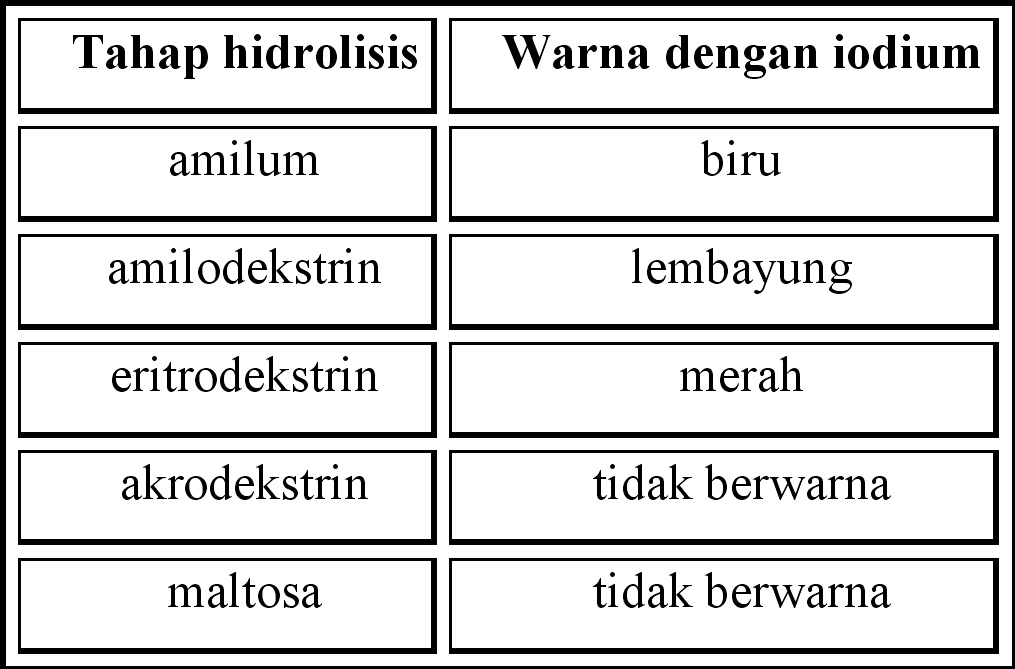 [tahap+hidrolisis+amilum.jpg]