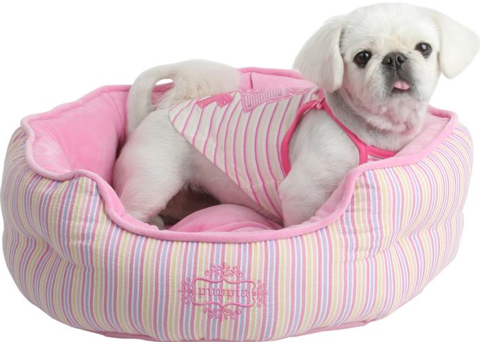 camitas para perros de llantas