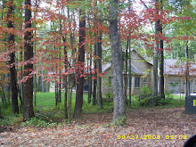 My house in the woods