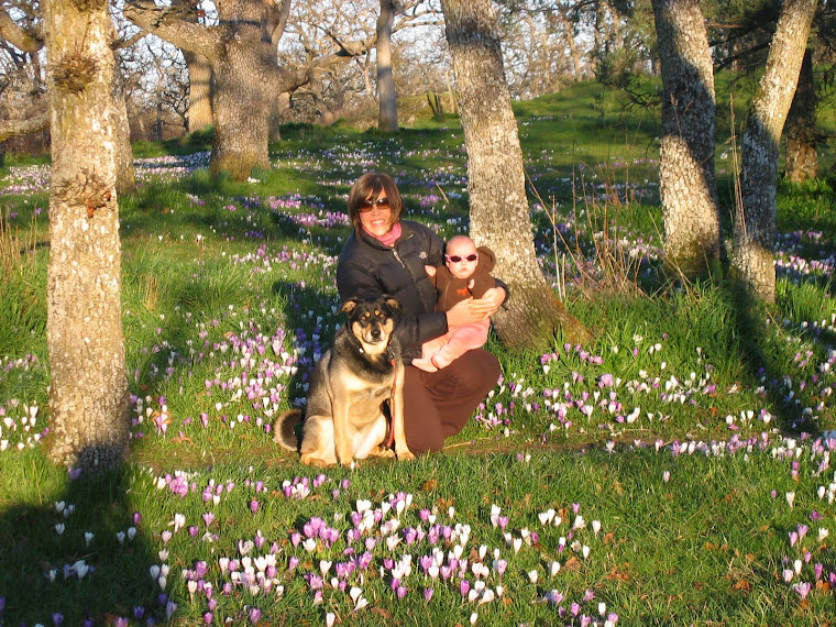 Mom, Paige and Jesse in Summit Park