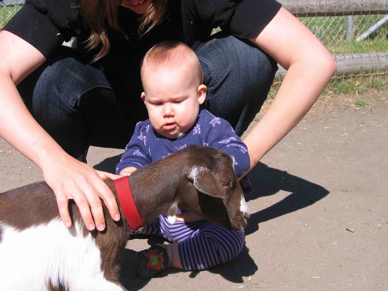 Baby Goats are neat!