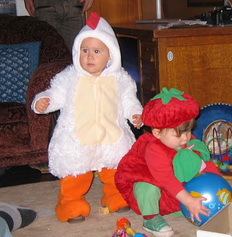 Chicken and Strawberry