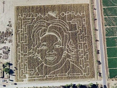 Oprah corn maze