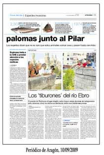 Periódico de Aragón 10-09-2009