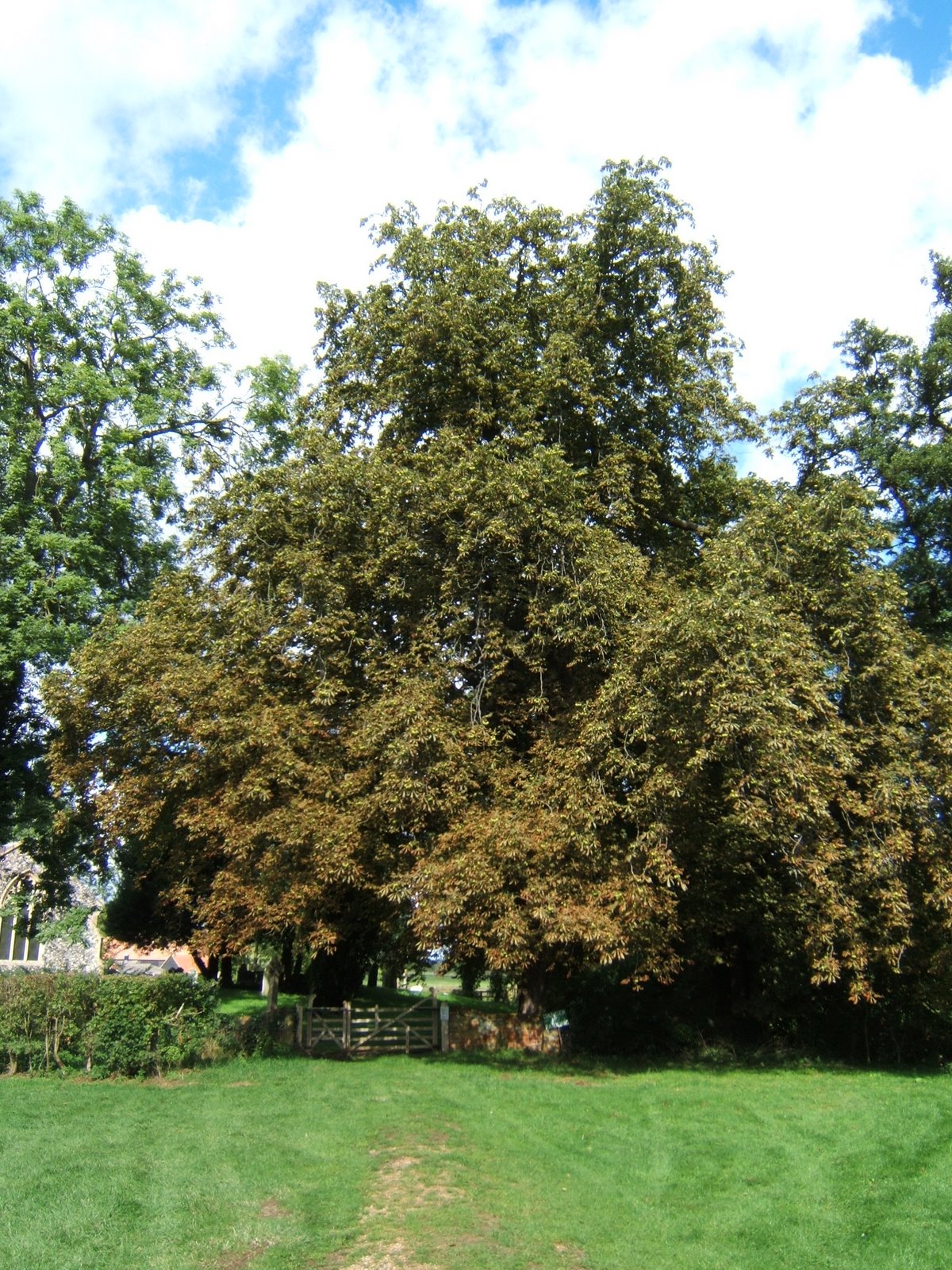 The Armoury: August 2010