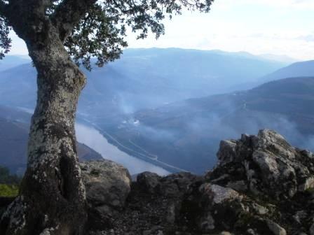 [galafura_2008.jpg]