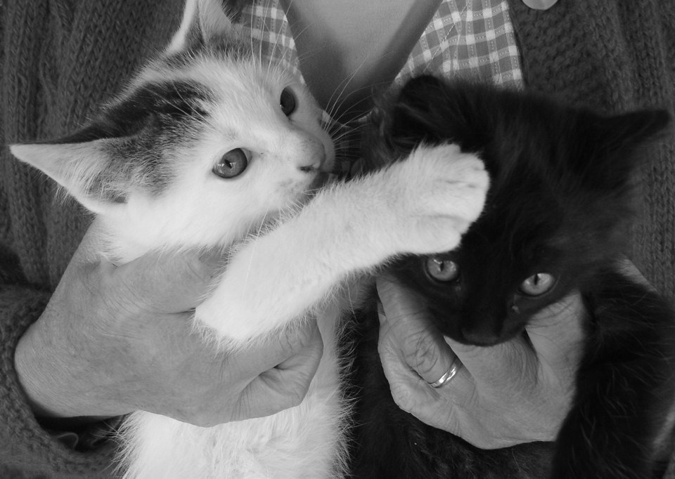 [abril_maio08+043.JPG]