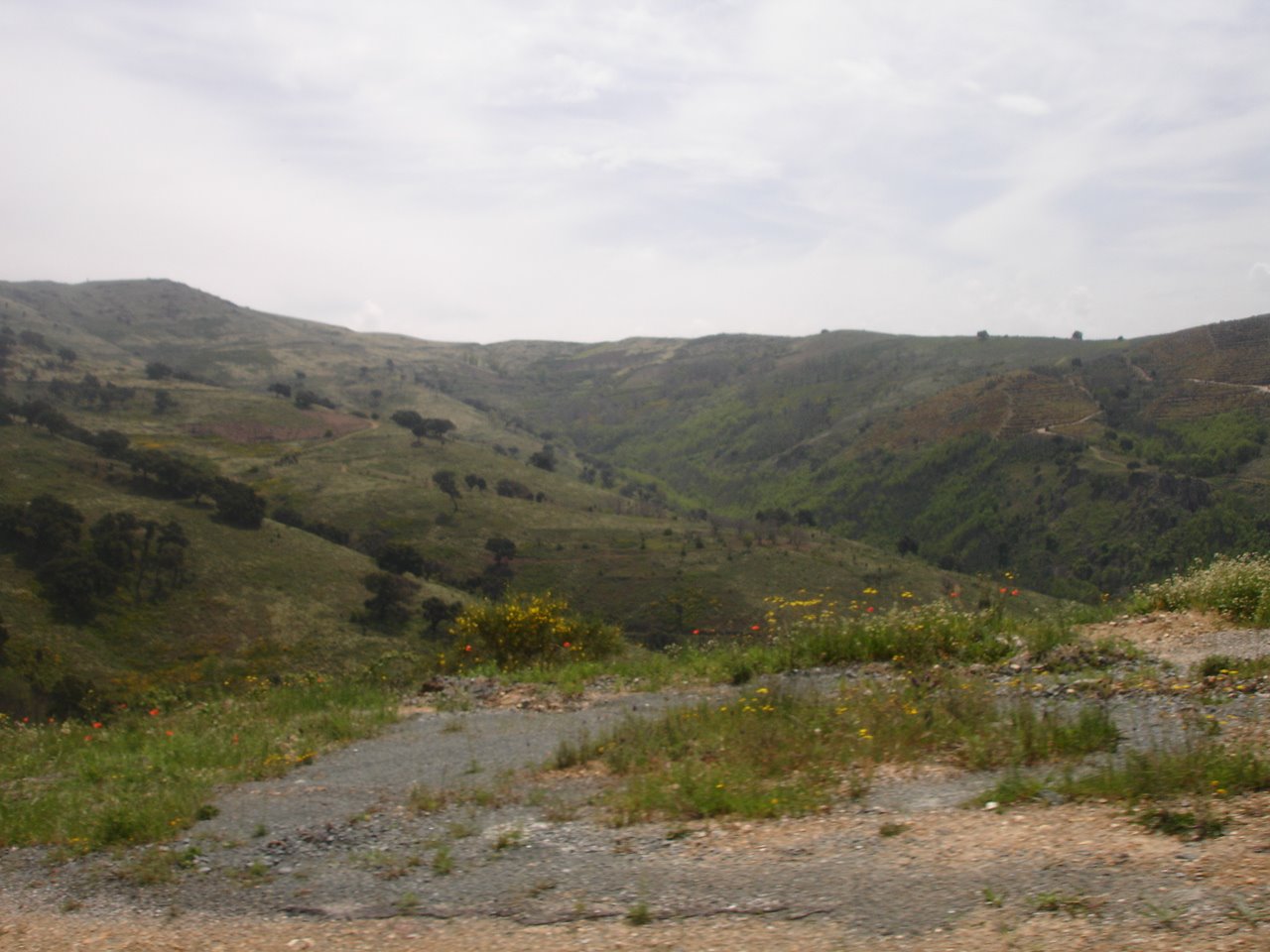 [abril_maio08+030.JPG]