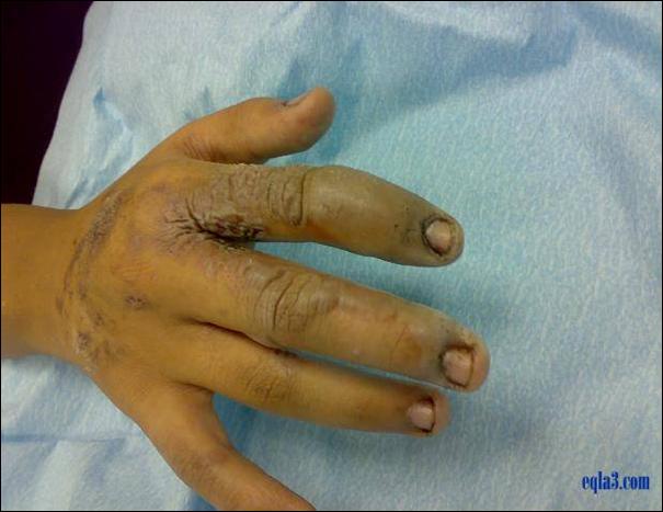 [ATT00002-776758.jpg]