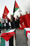 Manifestacion Solidaridad con Palestina