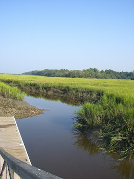 A Local Marsh