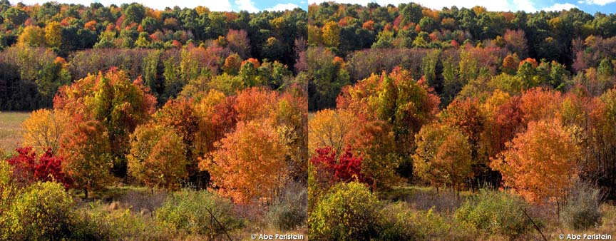 [071029-Bloomfield--hillside-foliage--from-Breezy-Knoll-Rd-X-C-BLOG.jpg]