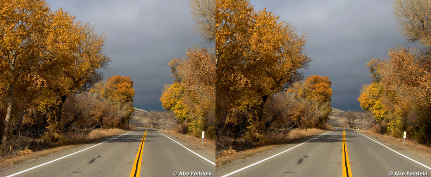 [071220-SLO-County-Rt-166--fall-foliage-dark-clouds-X-C-BLOG.jpg]