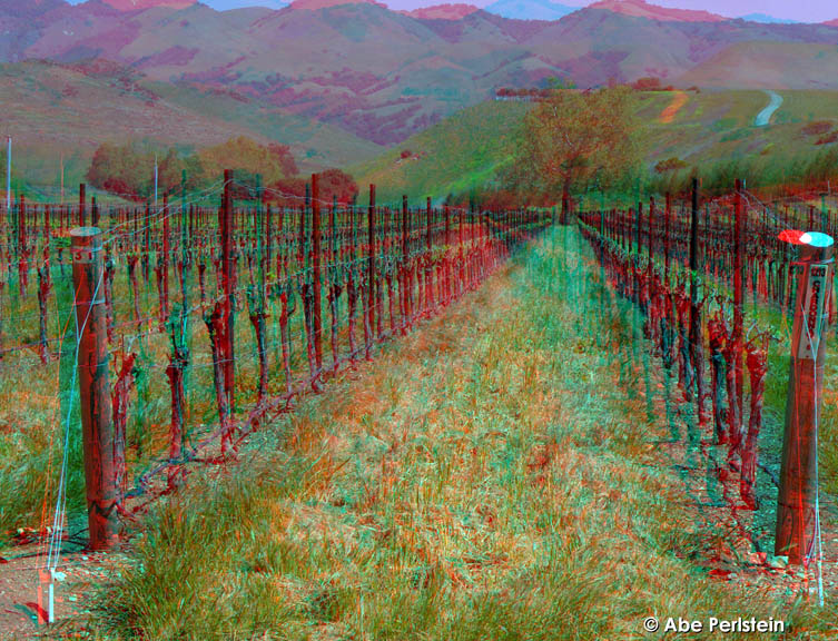[070331-SLO--Orcutt-Rd--vineyard-row-ANA-C-BLOG.jpg]