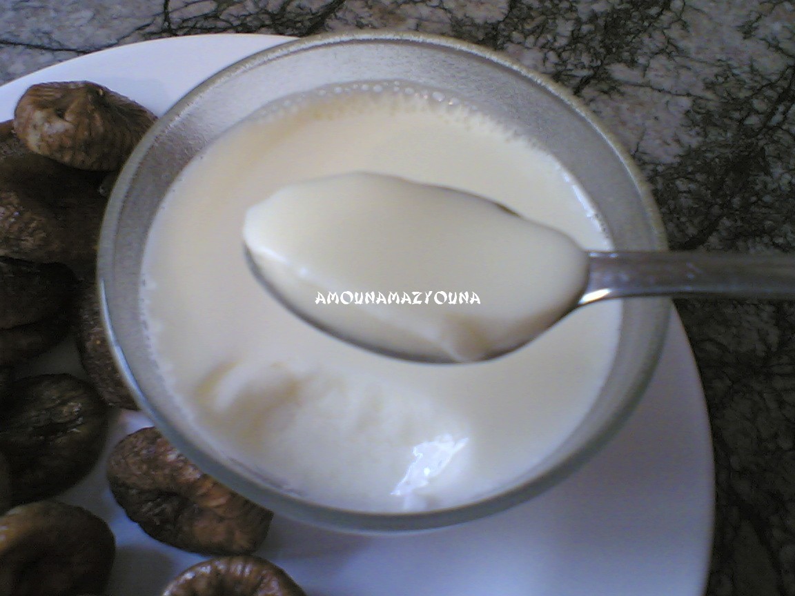 Maigrir Avec La Méthode Montignac Phase 1.: Faire Son Lait Caillé Pour  Remplacer Le Lait Fermenté!