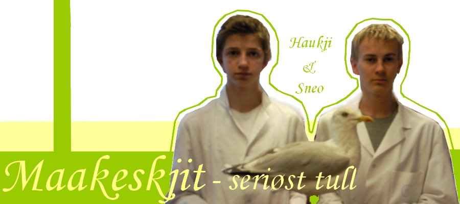 Maakeskjit