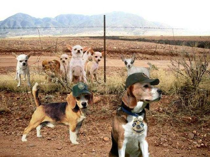 News New Mexico Las Cruces BLM office has issued border safety