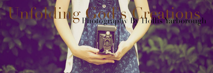 Unfolding Gods Creations:Photography by Hollis