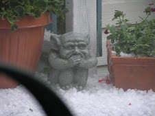 The Weather Gargoyle (WG)