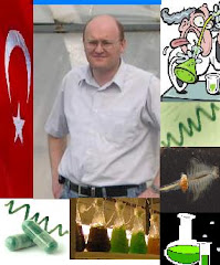 Edis Koru