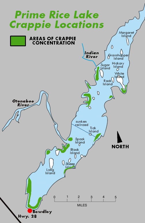 Adkins Lakeview Cottage Fishing