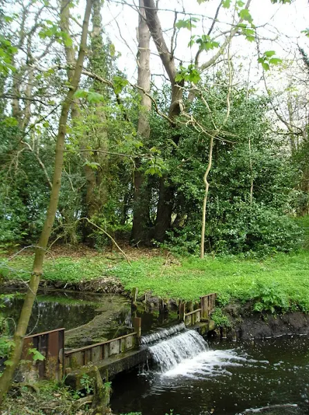A weir on the The Fleet just below Flixton Decoy