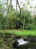 A weir on the The Fleet just below Flixton Decoy