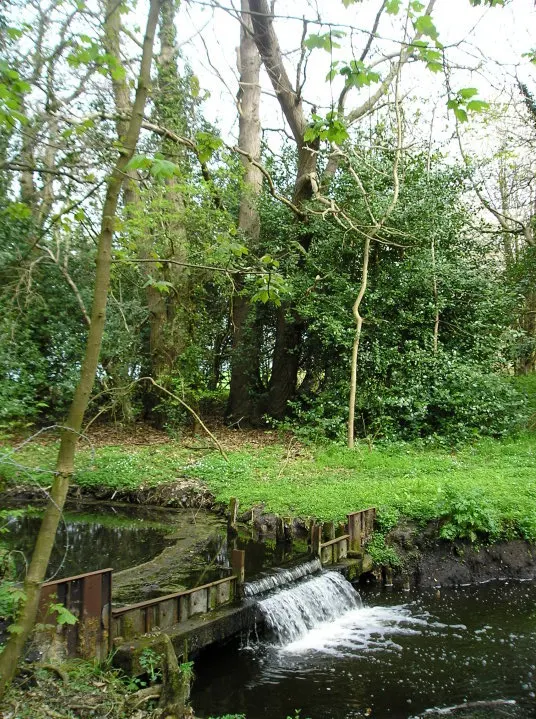 A weir on the The Fleet just below Flixton Decoy