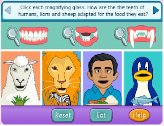 ~*Diploma in Education 2010/2011*~: Week 13 - Virtual Experiment