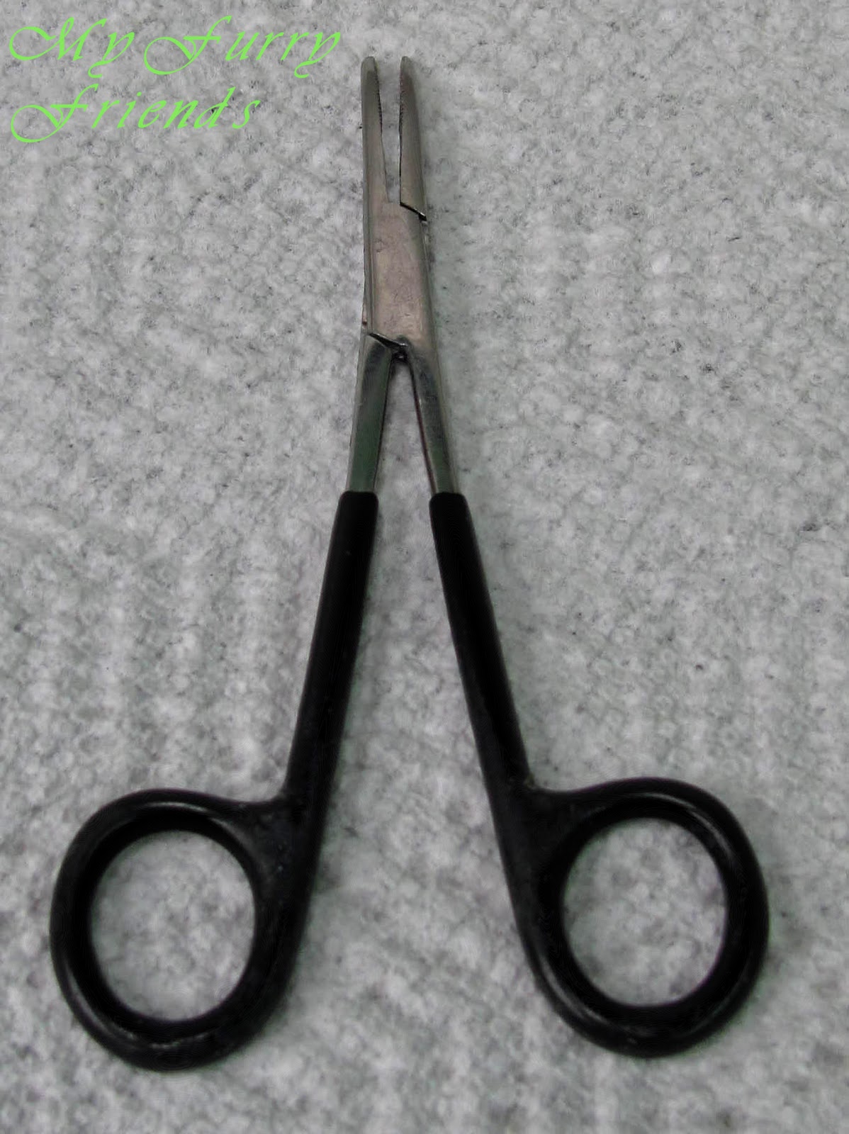 Pet Grooming The Good, The Bad, & The Furry Tuesday's Tip 3