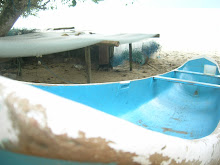 Caroço que elabora minha alma e define meu côco...