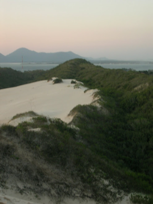 Sente o Surf da areia com o verde!