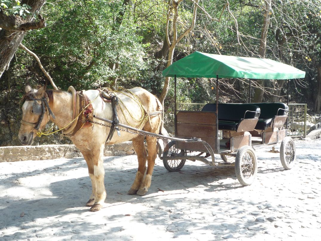 [Cola+de+Caballo+11.jpg]