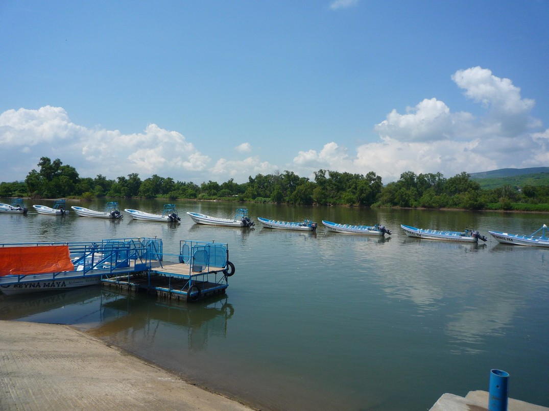 [P1150587.JPG]
