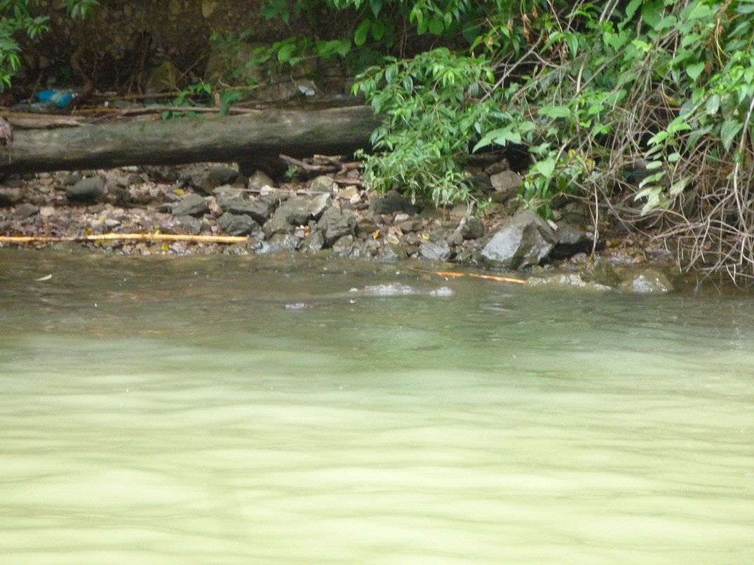 [P1150640.JPG]