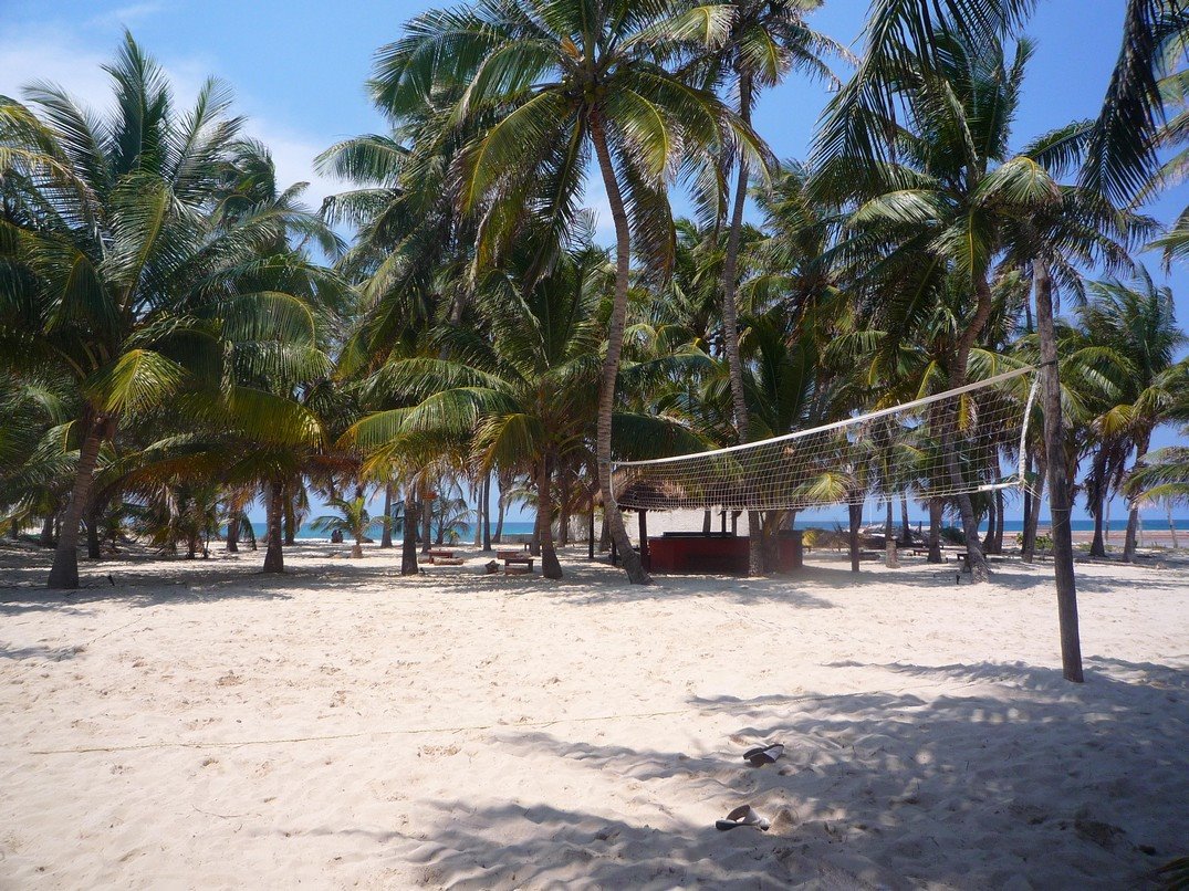 [P1130214.JPG]