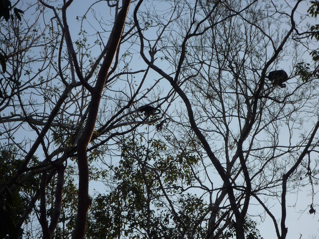 [P1140169.JPG]